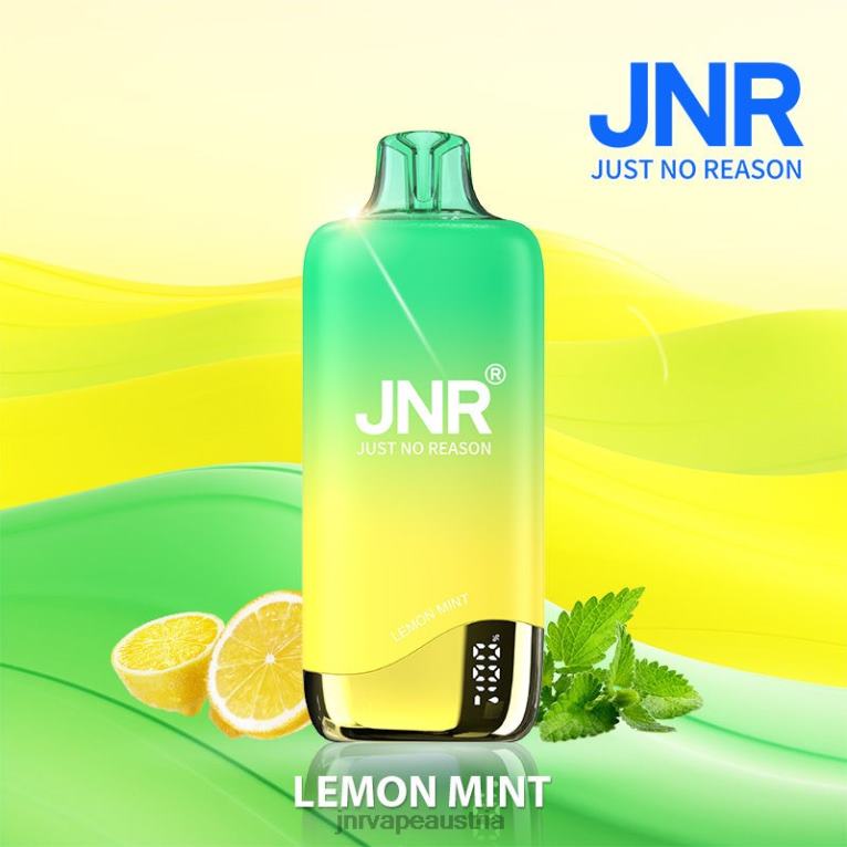 884TT257 jnr Regenbogen Zitronenminze - JNR Vape Flavours