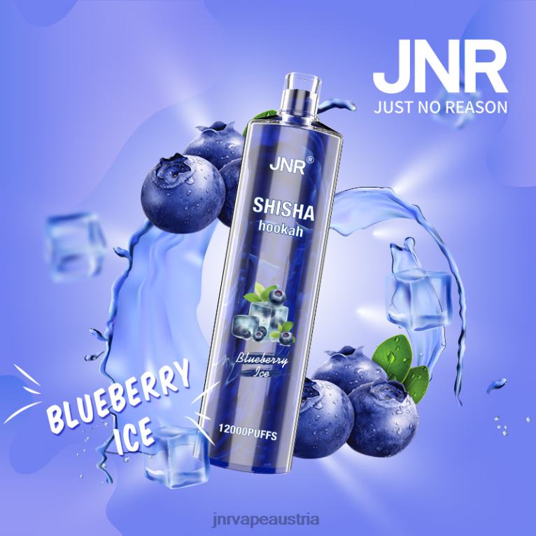 884TT161 jnr Shisha Blaubeereis - JNR Vape Nicotine