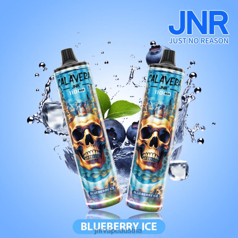 884TT292 Jr. Calavera Blaubeereis - JNR Vape Österreich