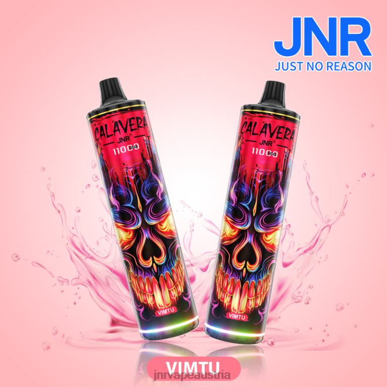 884TT304 Jr. Calavera vimtu - JNR Vapes Factory