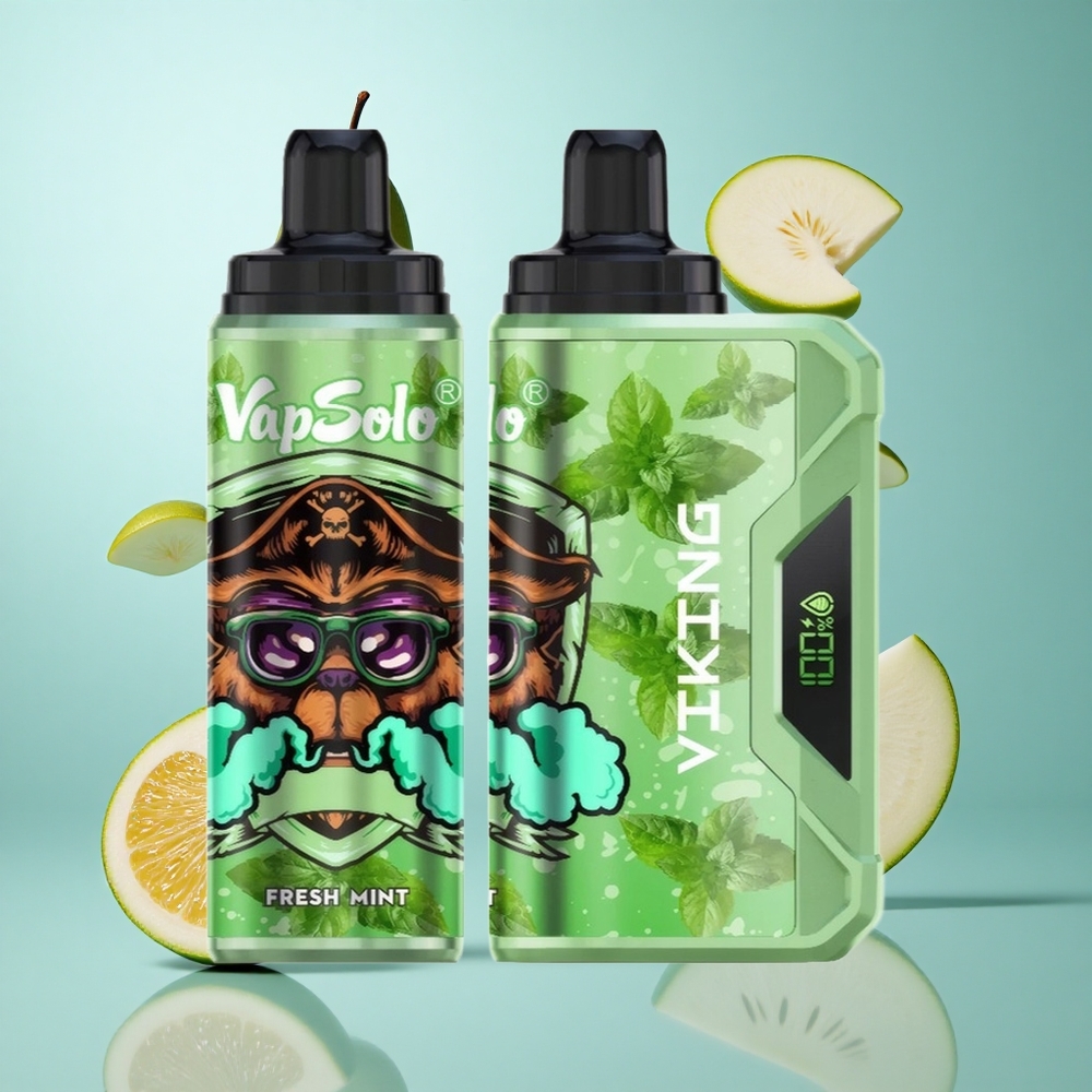 VapSolo VIKING 12000 Züge Einweg-Vape Frische Minze mit 22ml E-Liquid