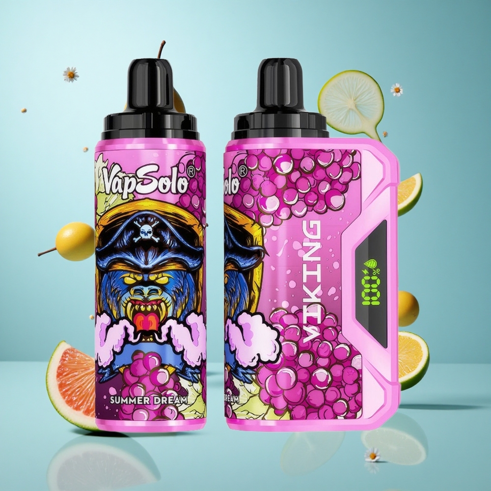 VapSolo VIKING 12000 Züge Einweg-Vape Sommertraum 22ml