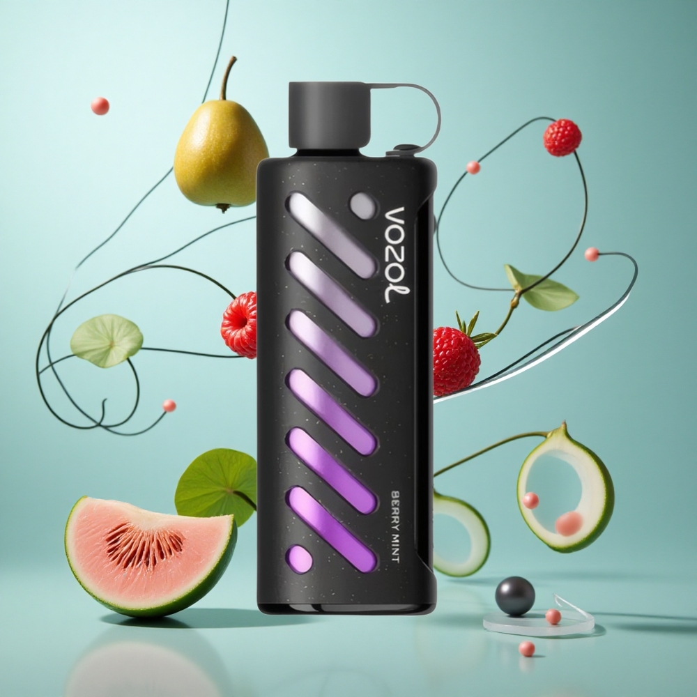VOZOL Gear Shisha 25000 Züge Beerenminze Einweg-Vape