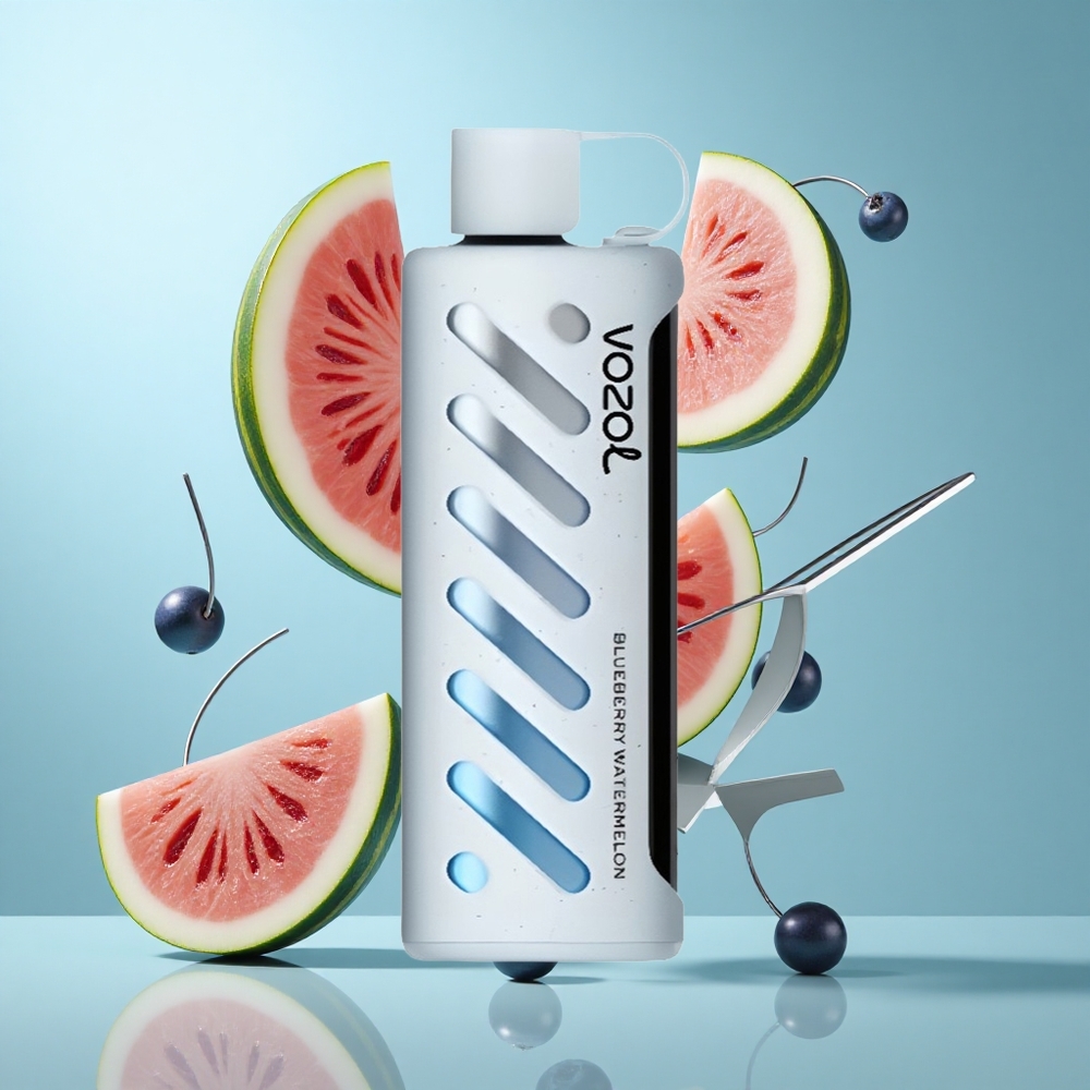 VOZOL Gear Shisha 25000 Züge Blaubeere Wassermelone Einweg-Vape