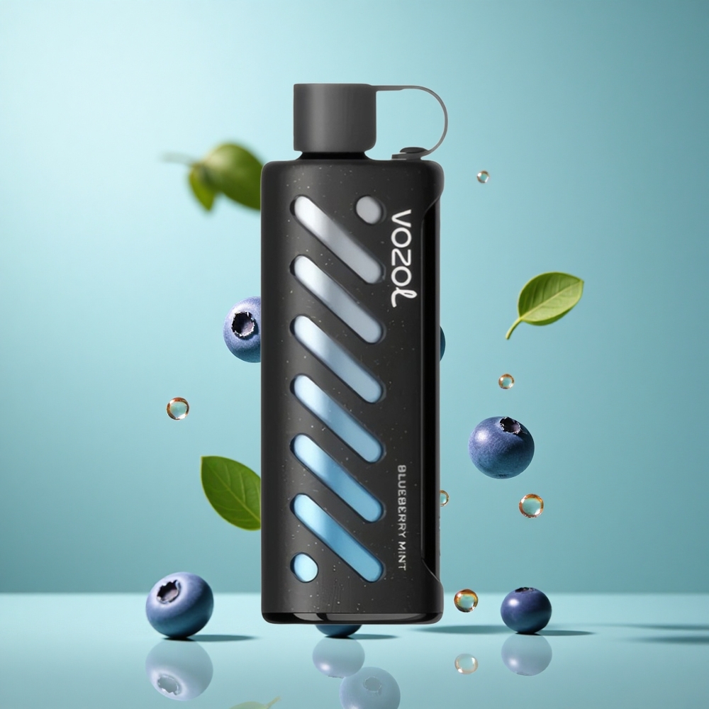 VOZOL Gear Shisha 25000 Züge Blueberry Minze Einweg-Vape