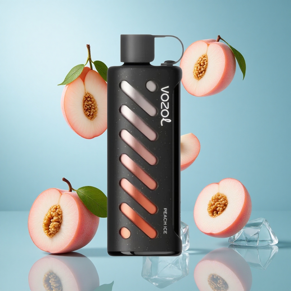 VOZOL Gear Shisha 25000 Züge Einweg E-Zigarette Pfirsich Eis