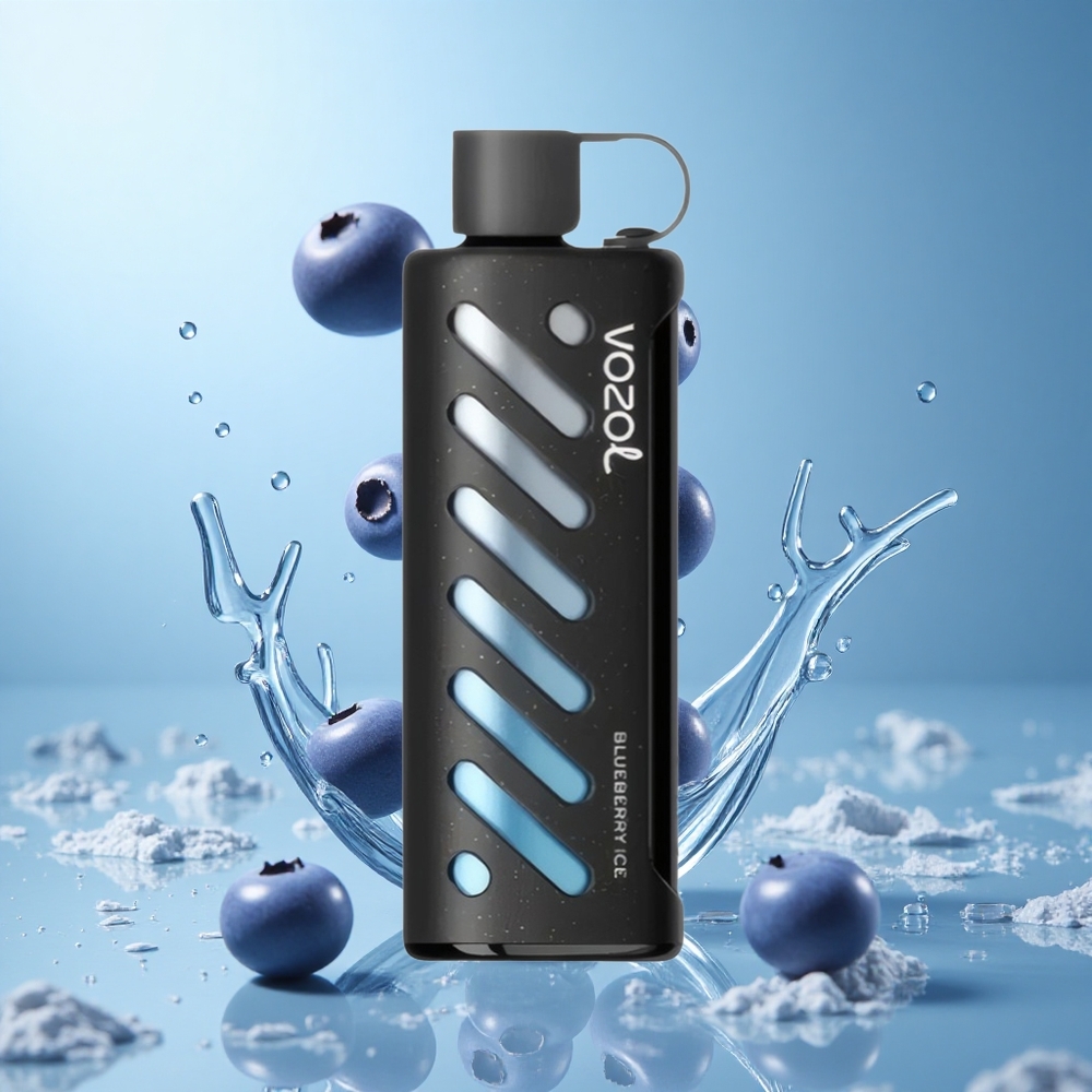 VOZOL Gear Shisha 25000 Züge Einweg-Vape Blaubeere-Eis