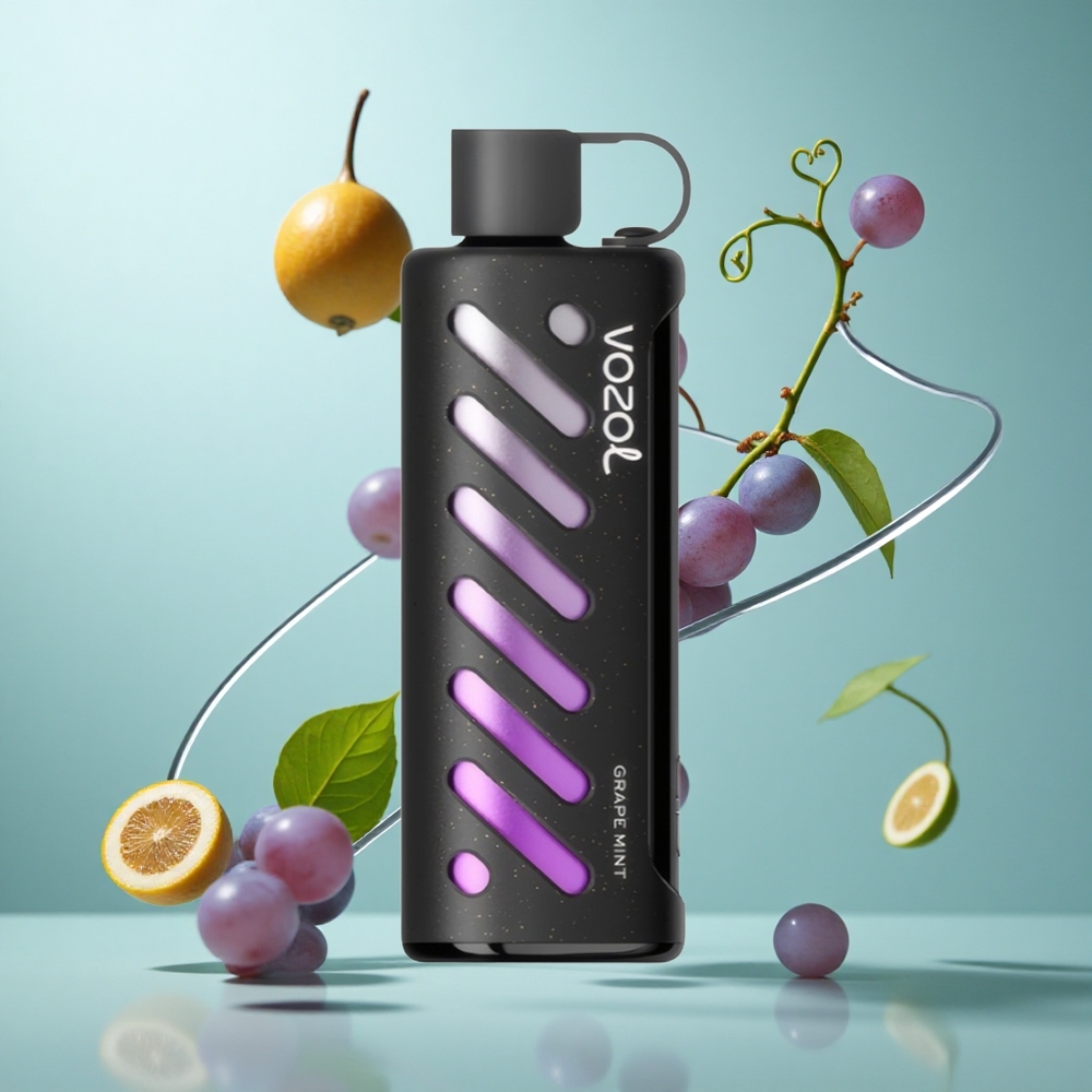 VOZOL Gear Shisha 25000 Züge Einweg-Vape Grape Minze