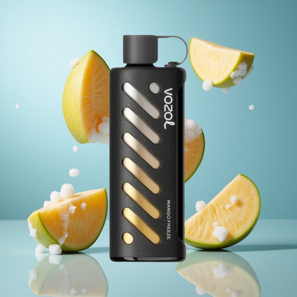 VOZOL Gear Shisha 25000 Züge Einweg-Vape Mangofrost