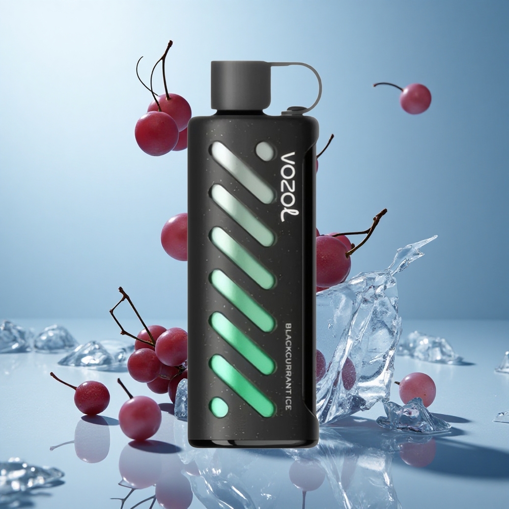 VOZOL Gear Shisha 25000 Züge Einweg-Vape Schwarzjohannisbeere Eis
