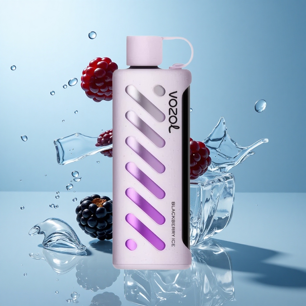 VOZOL Gear Shisha 25000 Züge Schwarzbeer-Eis