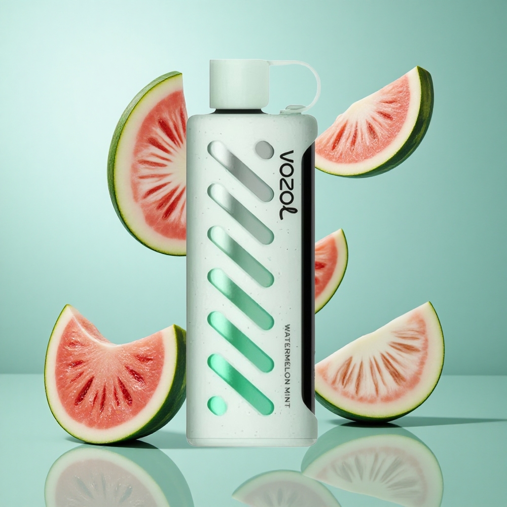 VOZOL Gear Shisha 25000 Züge Wasserminze Einweg-Vape