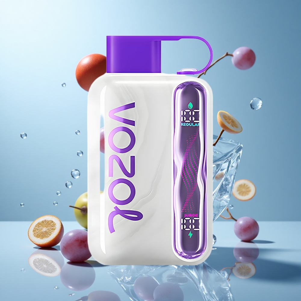 VOZOL STAR 40000 Züge Einweg-Vape Grape-Eis Typ-C 1000mAh