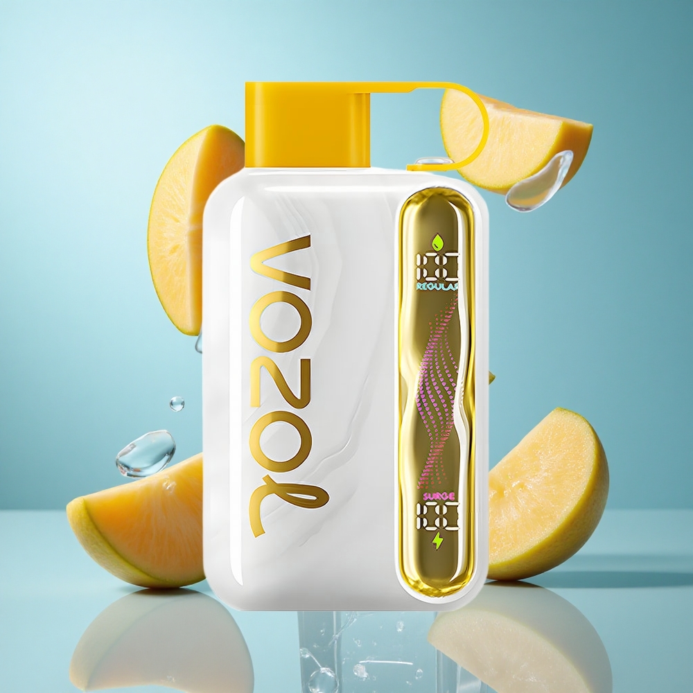 VOZOL STAR 40000 Züge Einweg-Vape Mango-Eis mit Typ-C-Ladung