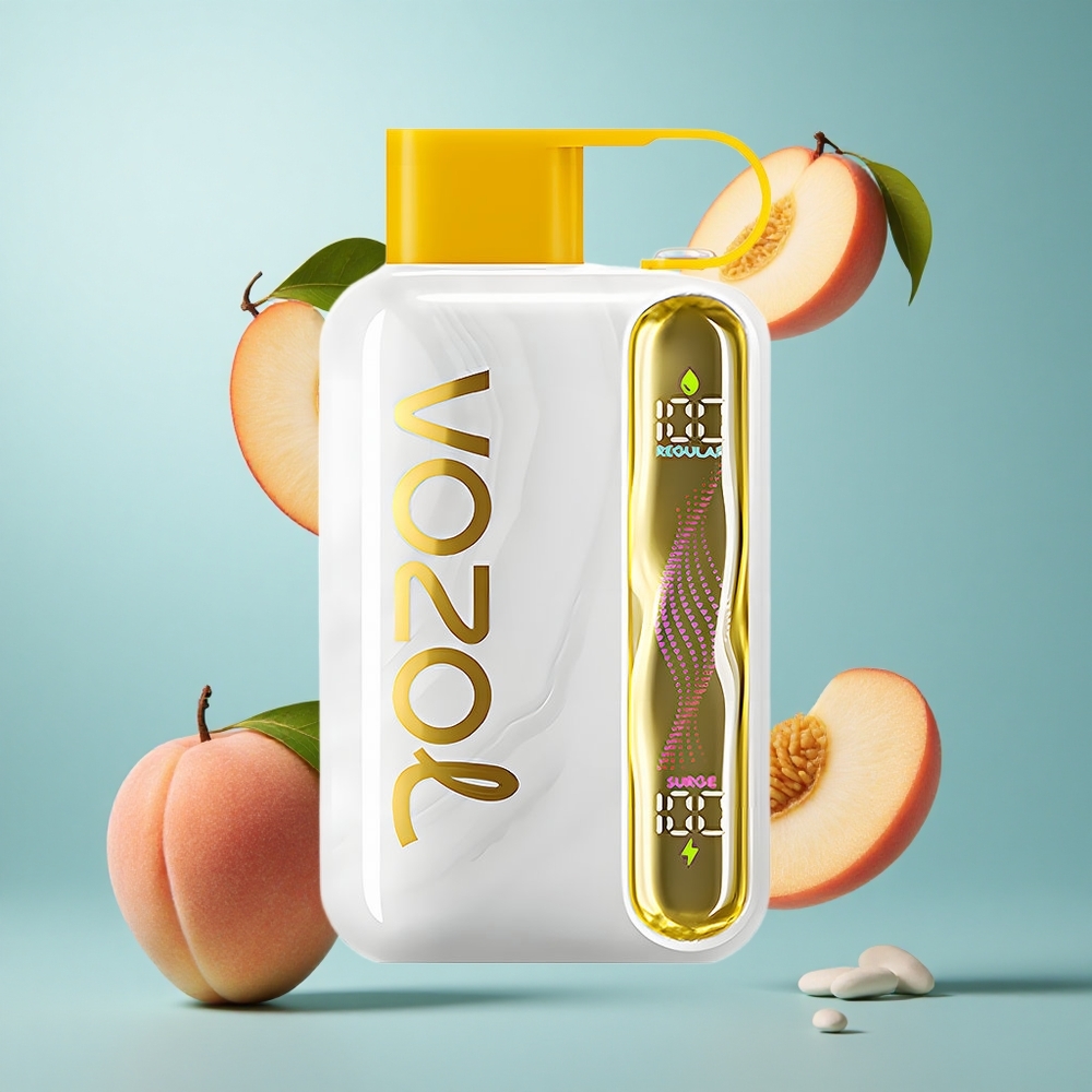 VOZOL STAR 40000 Züge Einweg-Vape Mango-Pfirsich 1000mAh Typ-C