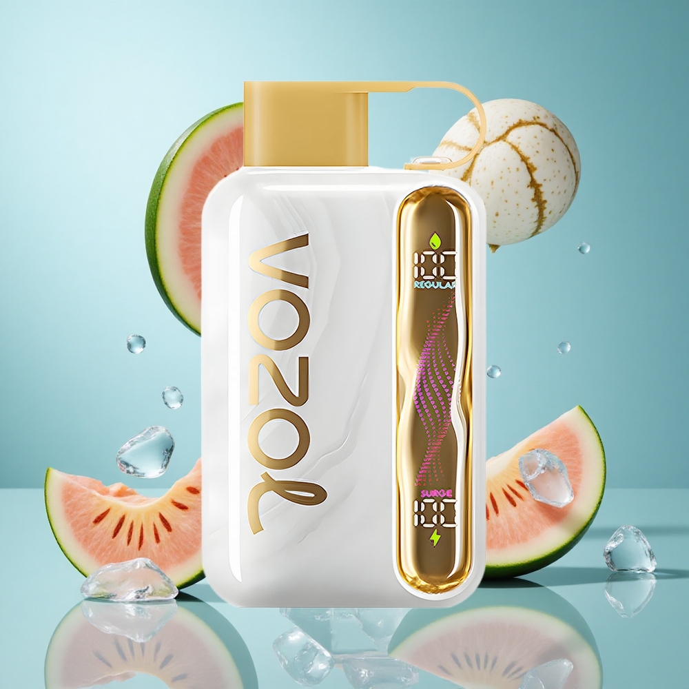 VOZOL STAR 40000 Züge Einweg-Vape Melone-Eis Typ-C 1000mAh