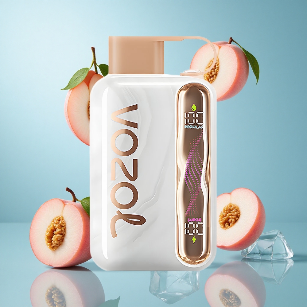 VOZOL STAR 40000 Züge Einweg-Vape Pfirsich-Eis Typ-C