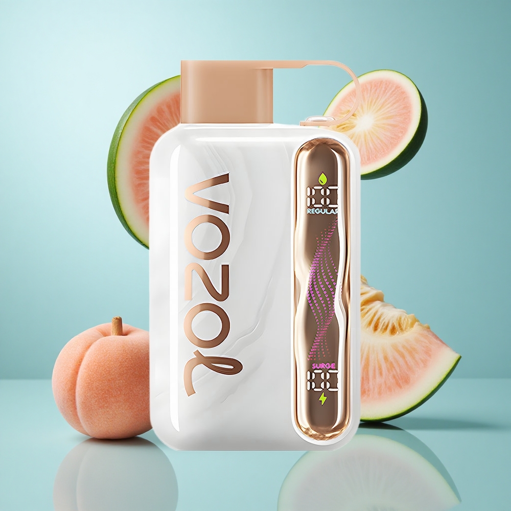 VOZOL STAR 40000 Züge Einweg-Vape Strawmelon Pfirsich 1000mAh Typ-C