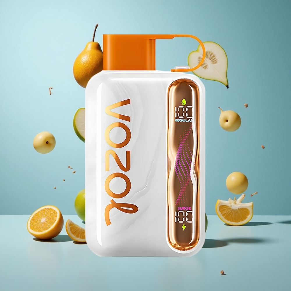 VOZOL STAR 40000 Züge Einweg-Vape Typ-C 1000mAh VZBull