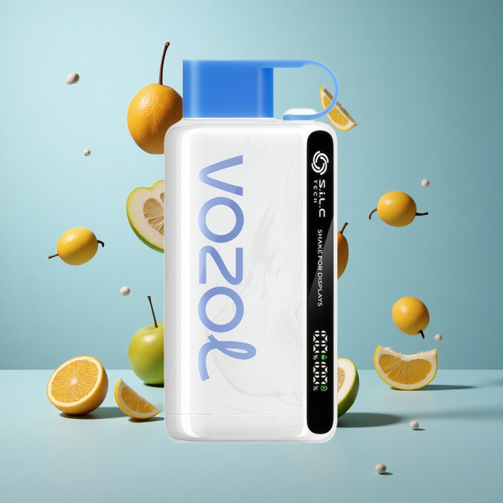 VOZOL STAR 9000/12000 Einweg Vape Bis zu 9000/1200 Züge