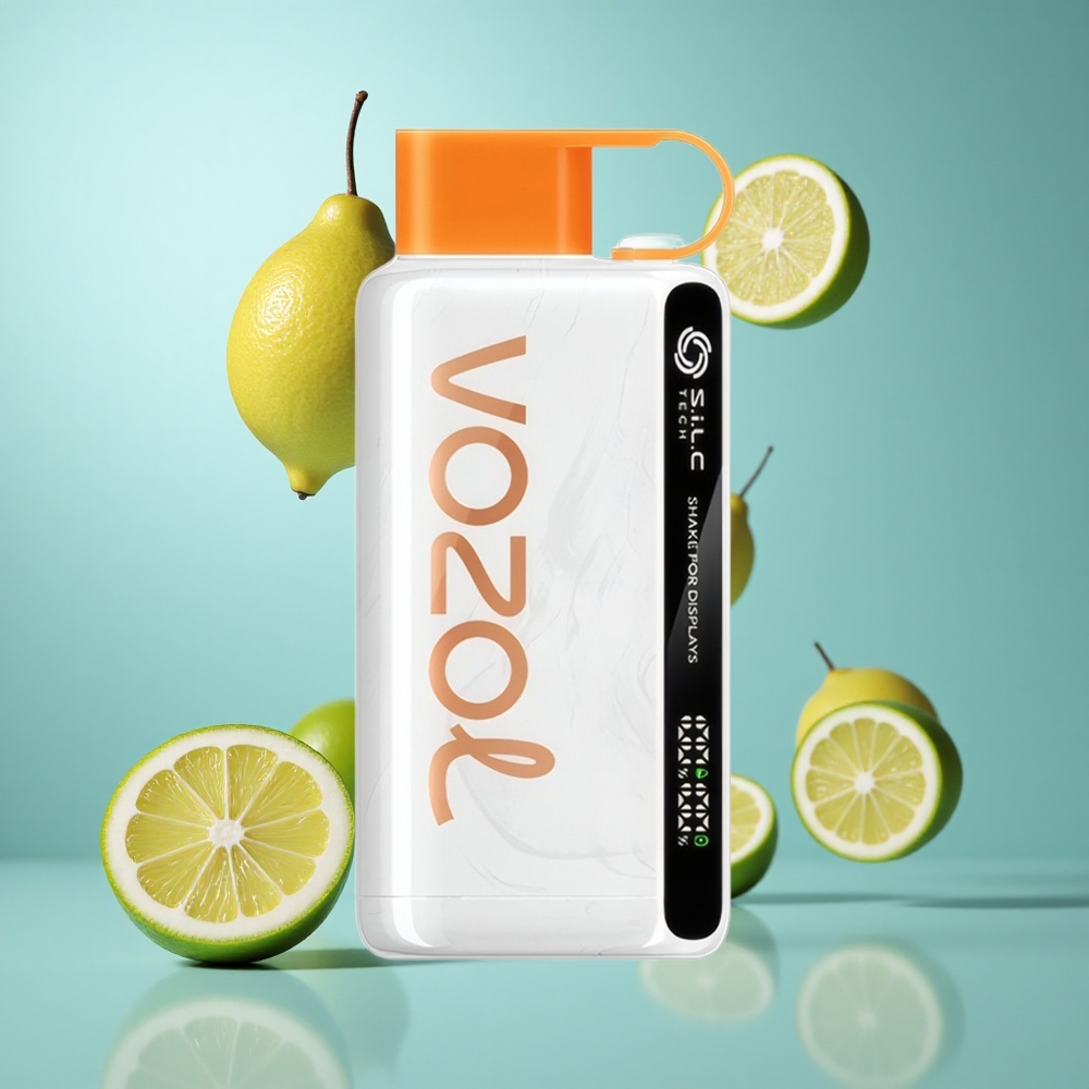 VOZOL STAR 9000/12000 Einweg-Vape Zitrone-Limette mit 650mAh Akku