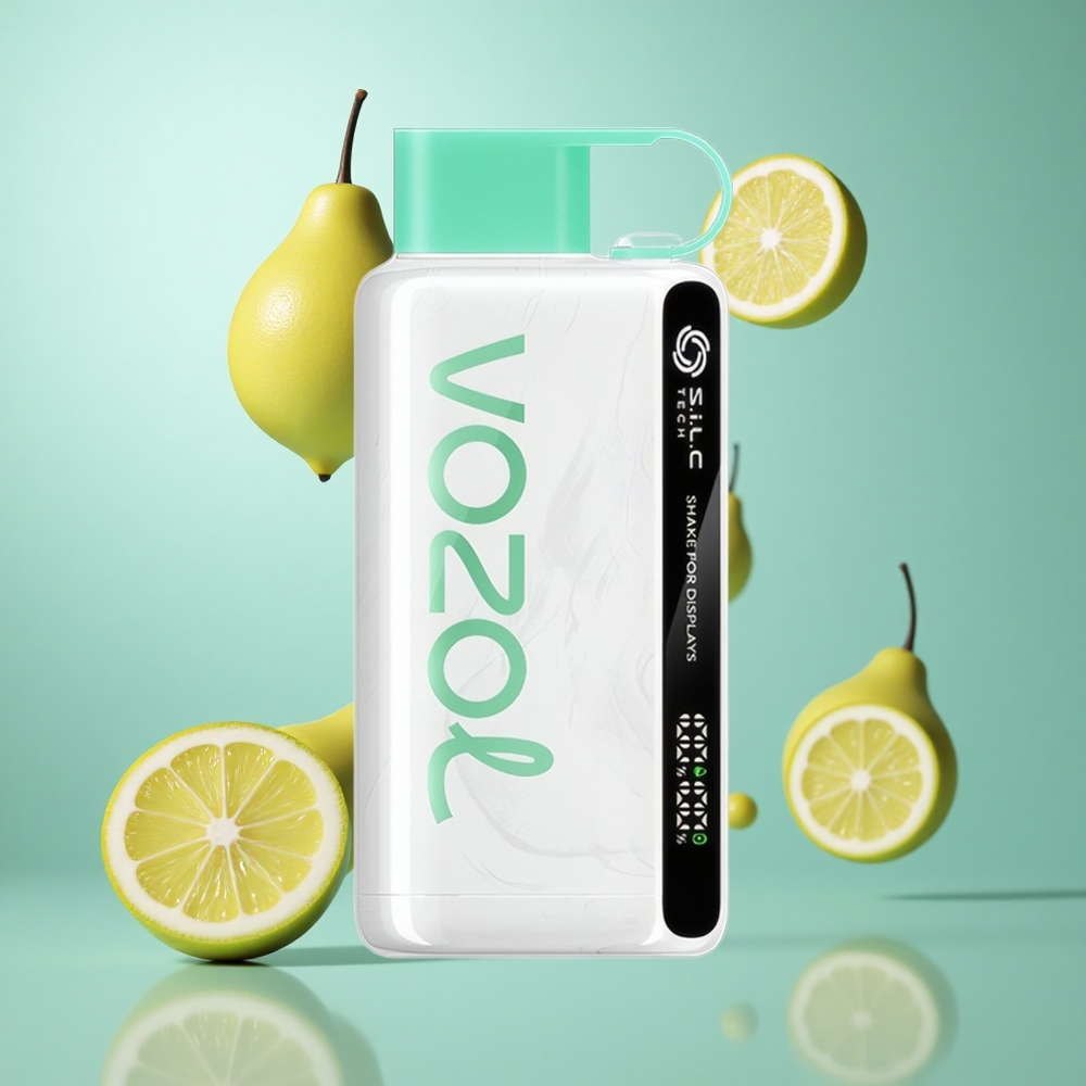 VOZOL STAR 9000/12000 Einweg-Vape Zitrone Minze mit 650mAh Akku
