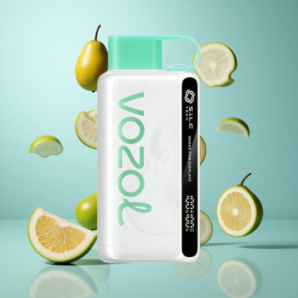 VOZOL STAR 9000/12000 Puffs Kühle Minze mit 650mAh Akku