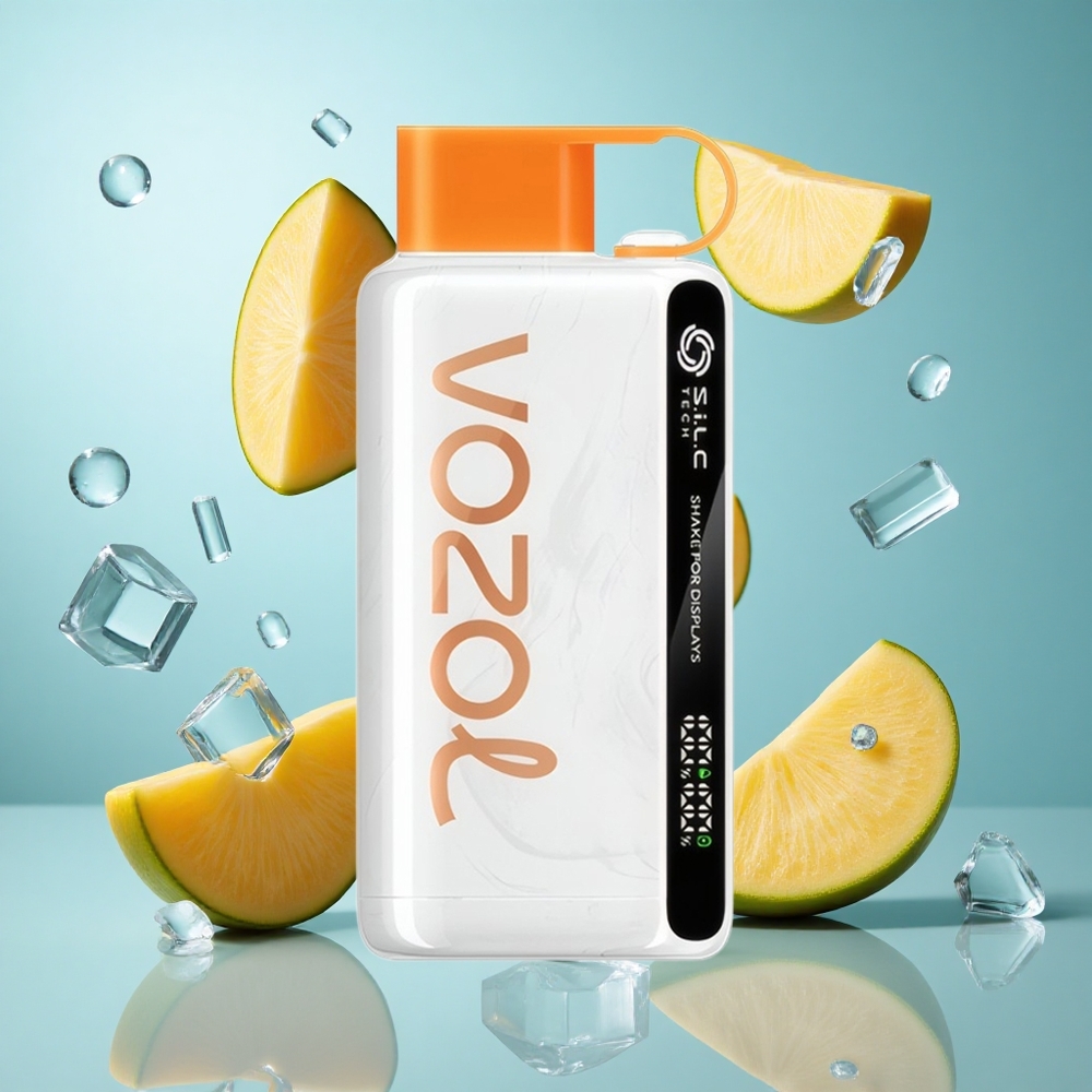 VOZOL STAR 9000/12000 Puffs Mexikanisches Mango-Eis mit Schnellladung 30% schneller