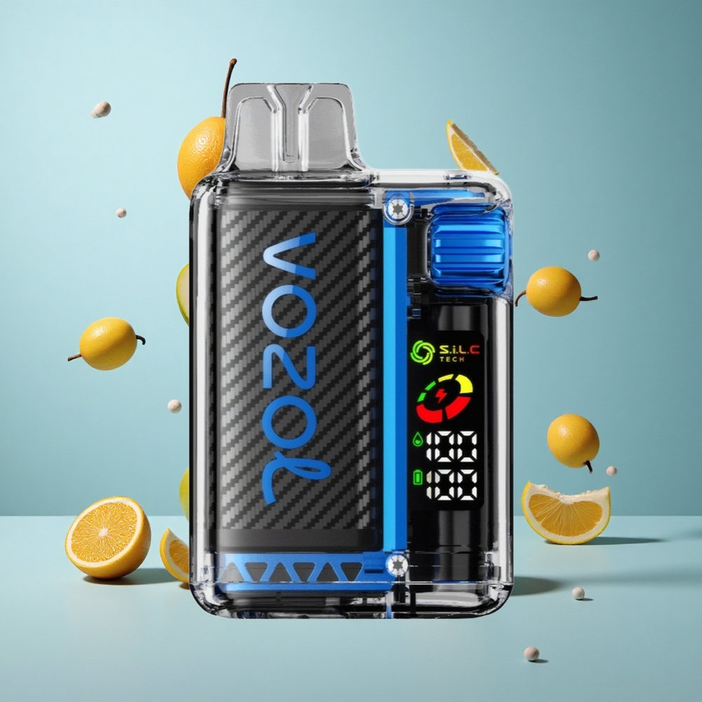 VOZOL Vista 20000 Züge wiederverwendbares Kit MTL Vaping OLED Display