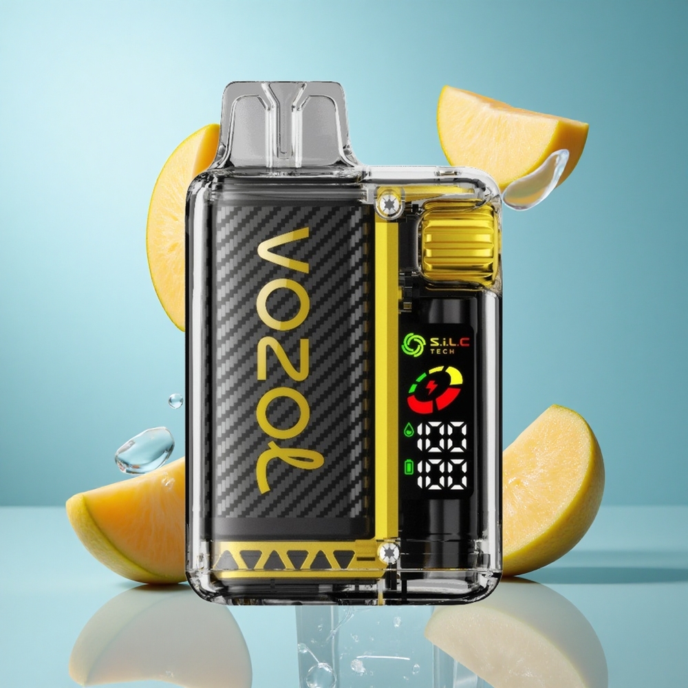 VOZOL Vista 20000 Züge wiederverwendbares Kit Mango-Eis mit OLED-Display