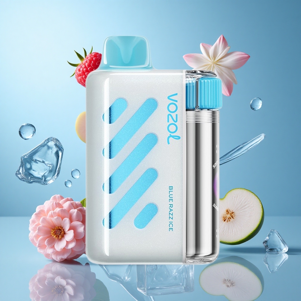 VOZOL VISTA 40000 Züge Einweg-Vape Blaue Himbeere Eis mit Mesh Coil